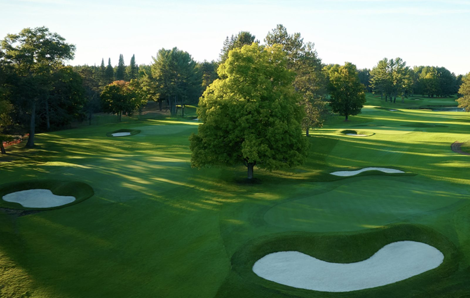 Short Course Cropped